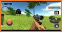 Wild Animal Safari Hunting 3D:Sniper Shooting Game related image
