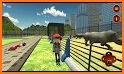 Animal Zoo Construction Simulator : Building Games related image