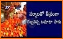13th World Tomato Congress related image