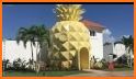 Pineapple House related image
