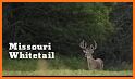 Missouri Hunting related image