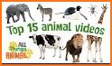 Kids Learn About Animals related image