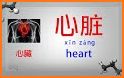 Mandarin Medical Phrases related image