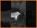 Hunting Shooting: Hunter world related image