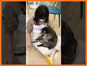 Mischievous Raccoon Escape related image