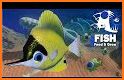 Feed and Grow: Fish Hint & Tips related image