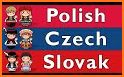 Polish - Slovak Dictionary (Dic1) related image