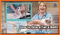 Bathe Your Cat related image