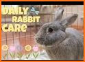 Bunny Baby Pet Care House related image