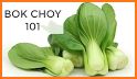 Bok choy related image