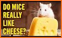 Mouse Cut The Cheeses related image