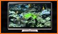 Aquariums on TV via Chromecast related image
