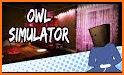 Owl Simulator related image