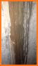 Leaky Wall related image