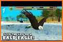 Wild Eagle Sim 3D related image