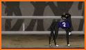 Dog Racing Action Game related image