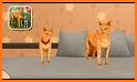 Cat Family Simulator 2021 related image