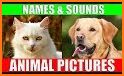 Animals names and sounds - No Ads related image
