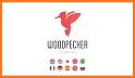 Woodpecker - Language Learning related image