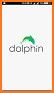 Dolphin Video - Flash Player For Android related image