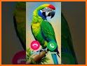 Baixar Musica Ringtone related image