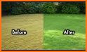 Lawn Care Guide related image