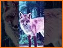 Fox Wallpaper related image