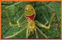 Happy Spider Poker related image