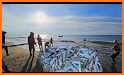 Circle the Fish related image