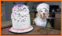 Puppy Burger Cooking and Decoration related image