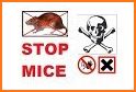 rat killer sounds related image