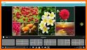 Photo Collage Pro -Blur Collage Maker Grid related image