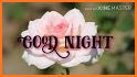 Good Night GIF Images related image