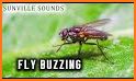 Anti-fly sound related image