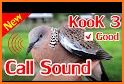 Dove Sounds - Dove Calls for Hunting related image