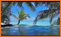 Beach Palms PRO Summer Sea shore 3D Live Wallpaper related image