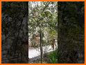 NGUYENNGOCNGUYENA related image