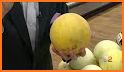 Galia related image