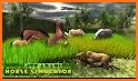 Wild Horse Simulator : Arabian Horse Game related image