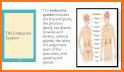 Medical Terminology Dictionary | Free & Offline related image