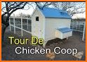 Chicken Coop related image