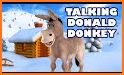 Talking Donald Donkey Pro related image