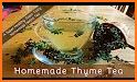 Tee Thyme Cookbook related image