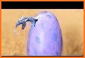 Dragon Eggs Surprise related image
