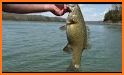 TipTop Fishing Forecast - find best fishing spots related image