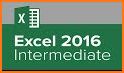 Learn Excel 2016 (Pro) related image