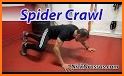 Spider Crawl related image