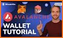 Avalanche - AVAX wallet related image