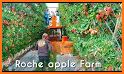 Fruit Farm Harvest Time related image
