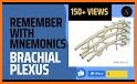 Plexus MBBS PRO related image